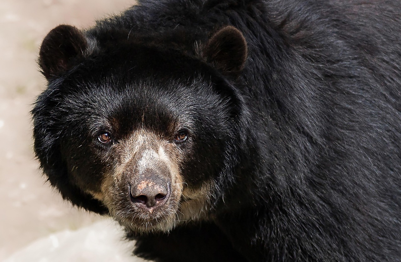 目元のクマに効果的なビタミンKオイルの比較は？