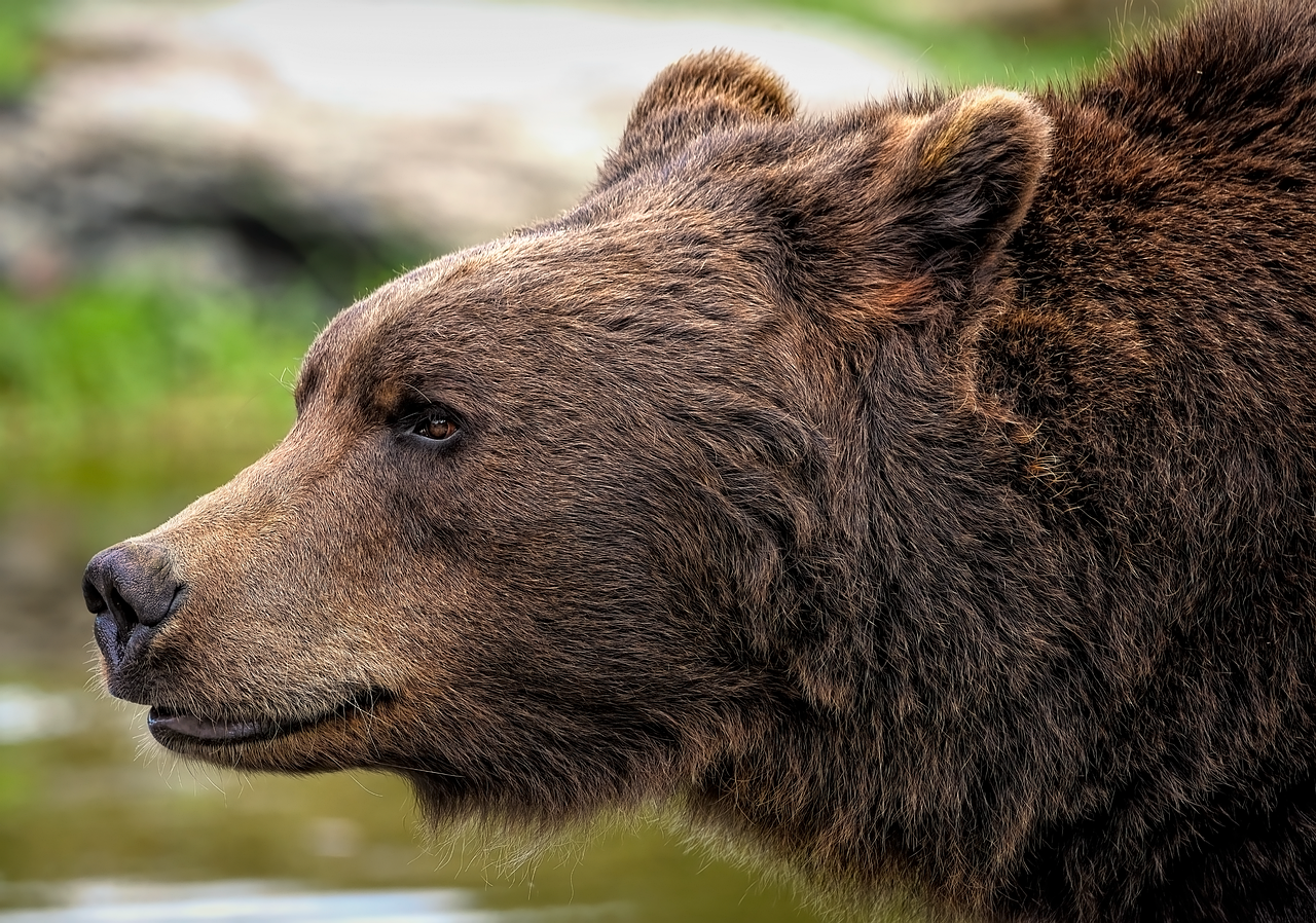 目元のクマを解消するためのマッサージと併用するセラムは？
