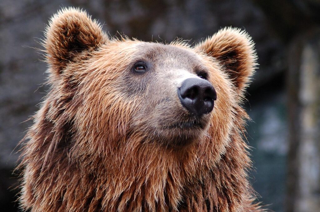 目元のクマを解消するための色素沈着対策セラムは？