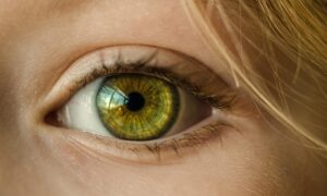 目元集中ケアを行う敏感肌向けのパッチテストは必要ですか？