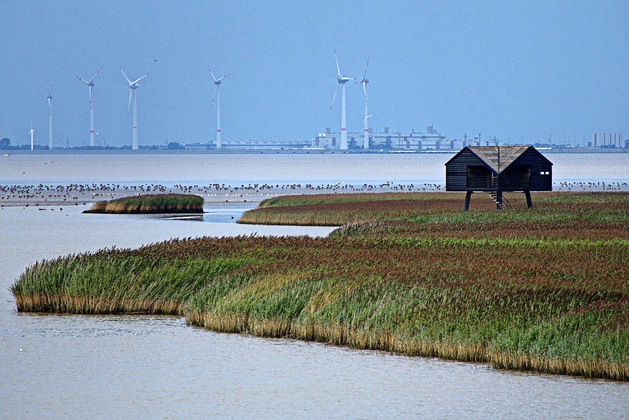 目元のたるみを改善するEMS美顔器の効果とは？