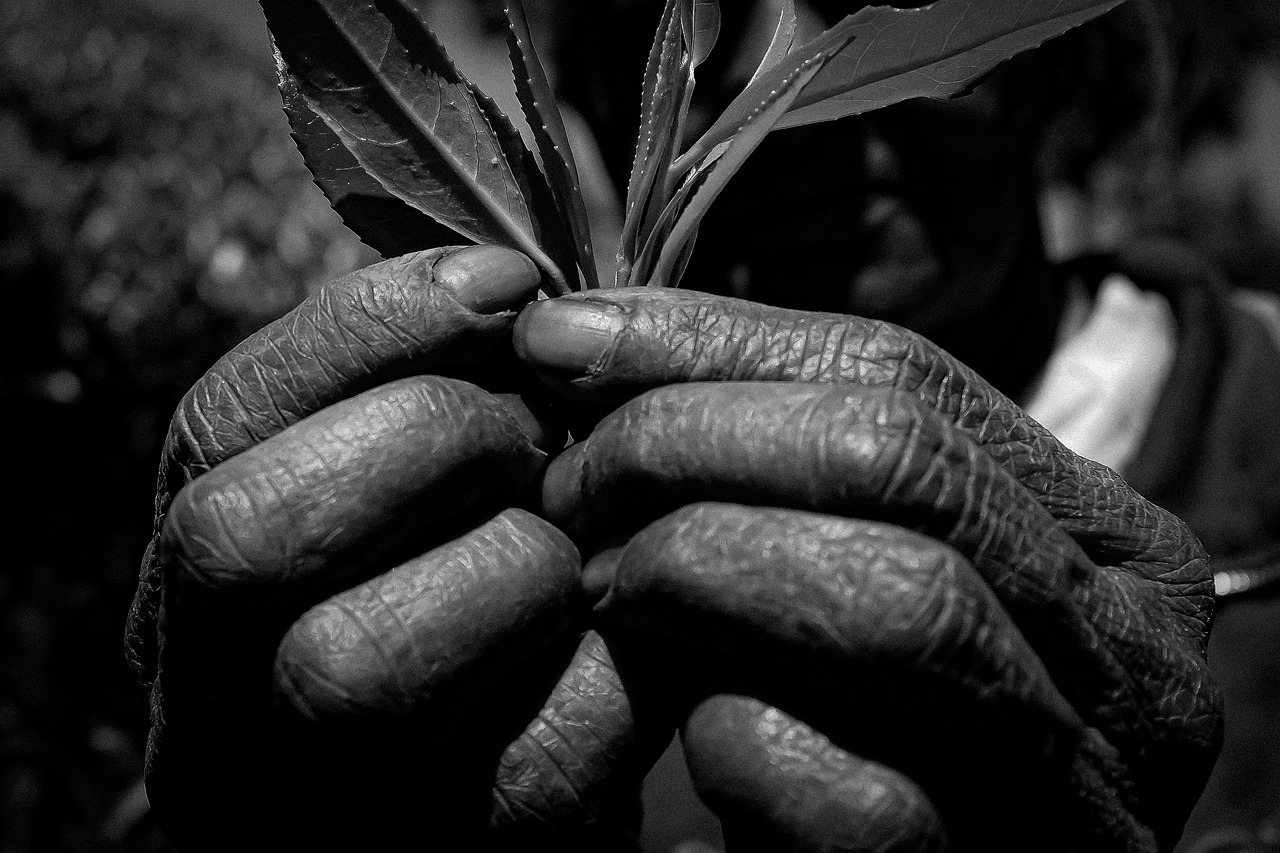 目元のシワ対策に効果的なレチノールクレームの比較は？