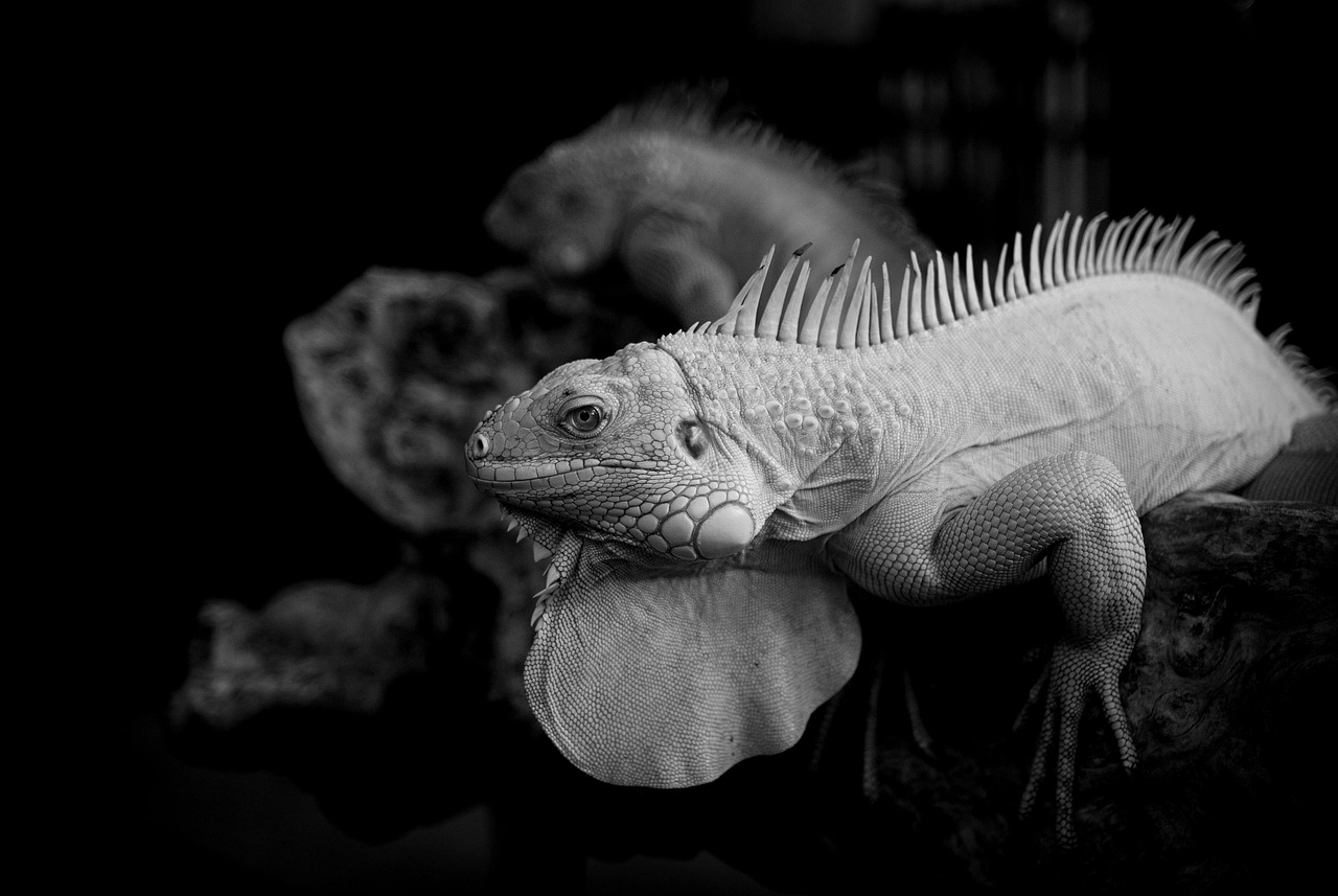 目元の高濃度ハイドロゲルアイパッチの効果とは？