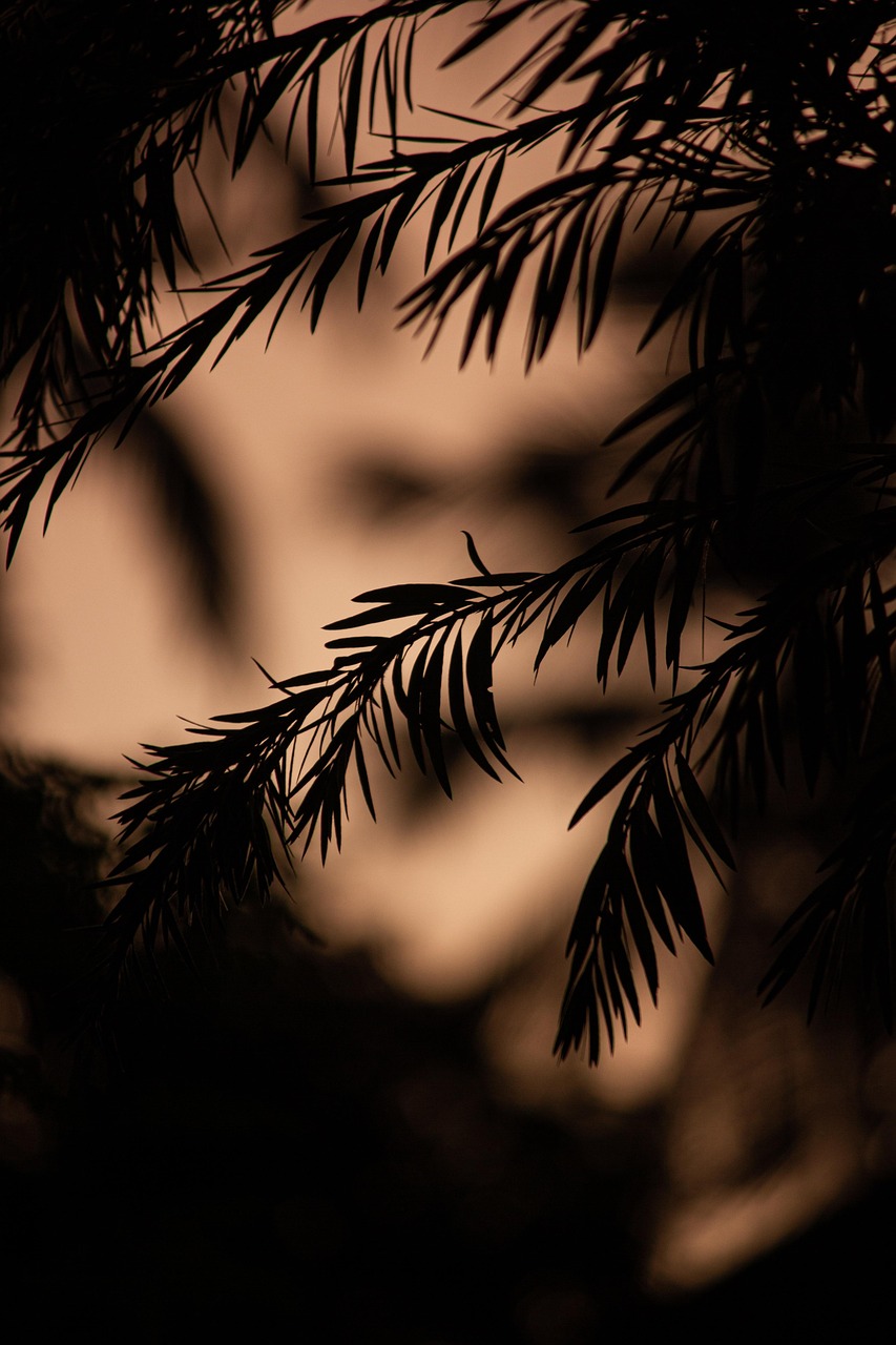 目元集中ケアに最適なオールインワン商品は？