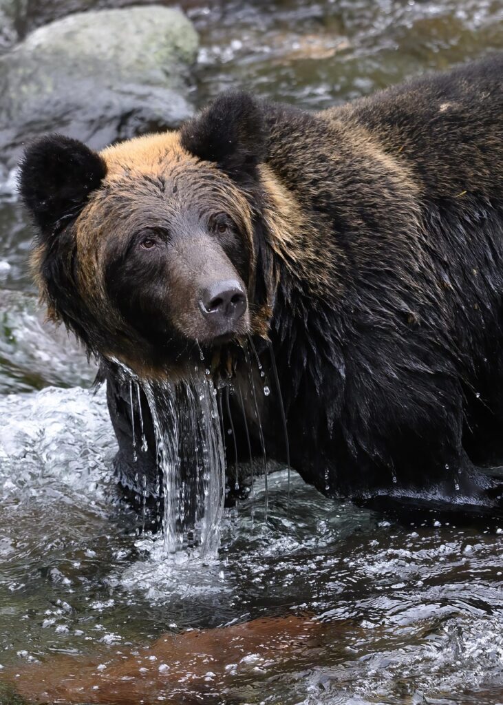 30代の目元のクマに効果的な集中ケア方法は？