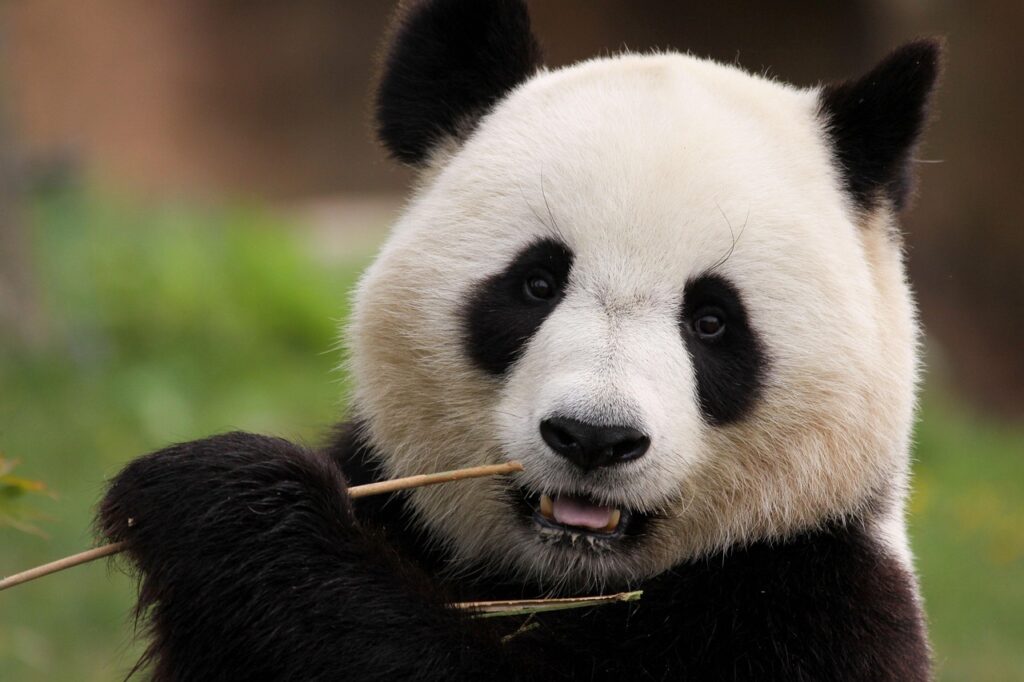 目元のクマを解消する高濃度ビタミンCの効果的な対策は？
