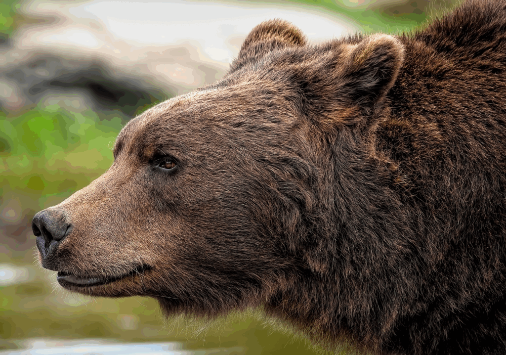 目元の青クマを消すための美容液の効果は？