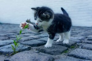目の下のたるみを解消するための効果的な方法は？