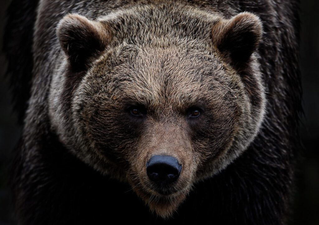 目の下のクマの原因は何ですか？