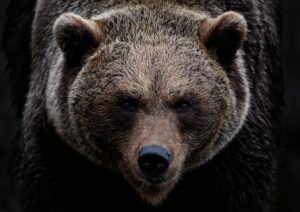 目の下のクマの原因は何ですか？