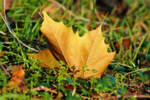 目の下の乾燥対策に効果的なケア方法は？