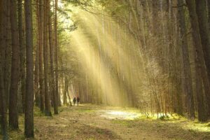 目元のくすみを解消するマスクの効果とは？